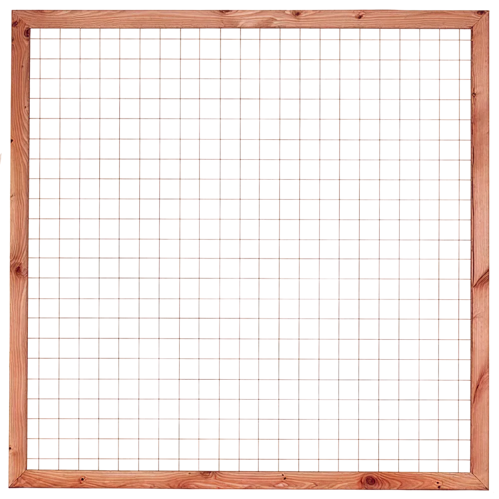 Douglas Betonijzertrellis 180 x 180cm met lijst