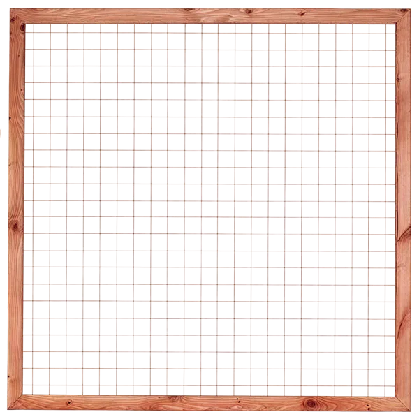 Douglas Betonijzertrellis 180 x 180cm met lijst
