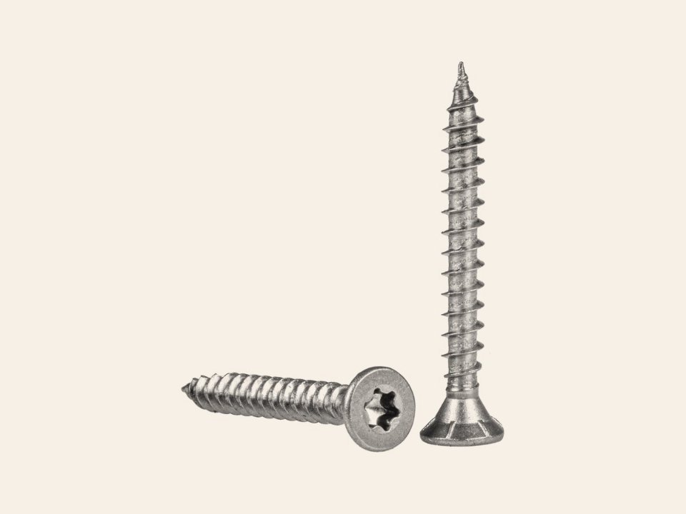 RVS schroef met snijpunt torx