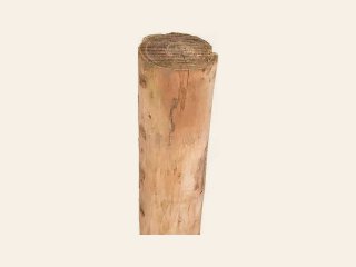 Ø10/12 cm Robinia paal