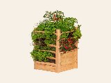 Multi plantenbak/kruidenbak, lariks, foto 1