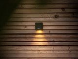 Lightpro Tiga Wall, foto 1