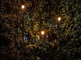 LightPro Erba Bundel van 3 Staande Lampen, foto 3
