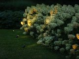 Lightpro Castor 4, foto 3