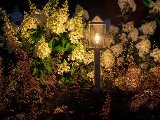 Lightpro Eros Lo, foto 2
