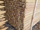Vierkante Robinia Houten palen, foto 2