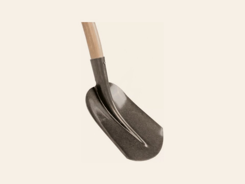 Schepbats