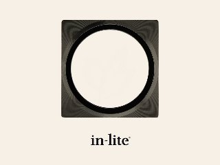 In-Lite PLATE 1