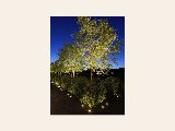 In-Lite HYVE, foto 5