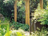 Eco gaastrellis, foto 6