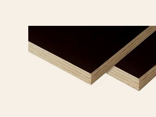Betonplex 125 × 250 cm, eucalyptus met bruine filmlaag